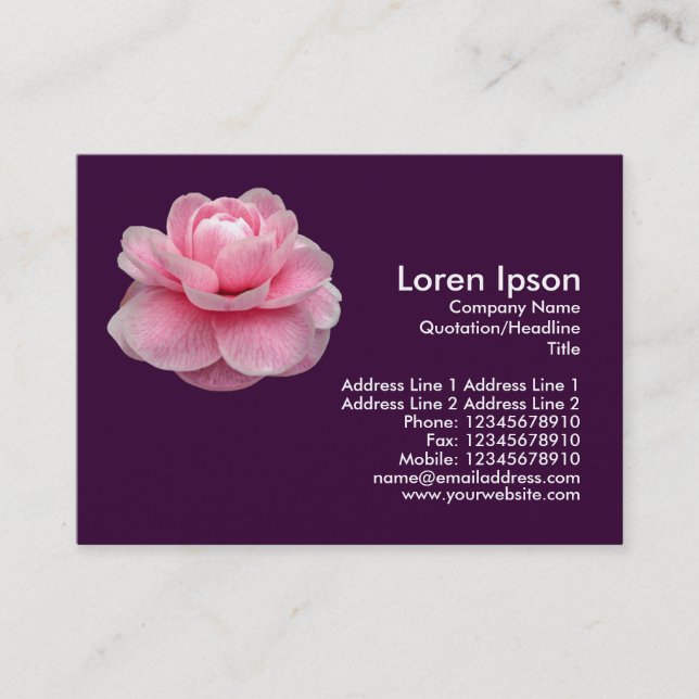 Pink Camelia - Dark Purple Business Card (Front)