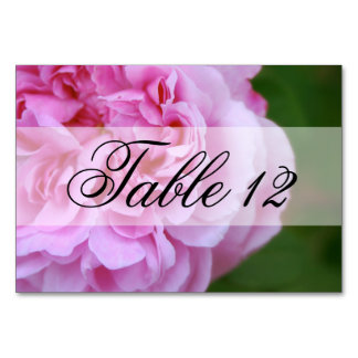 Pink Camellia and Ribbon Wedding Table Number