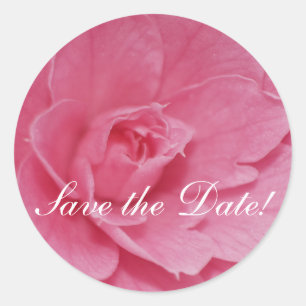 Pink Camellia Blossom Classic Round Sticker