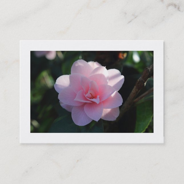 Pink Camellia (Bordered) Business Card (Front)