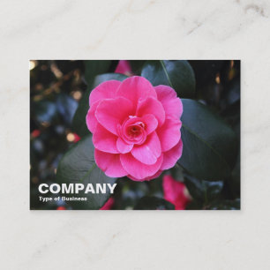 Pink Camellia Business Card