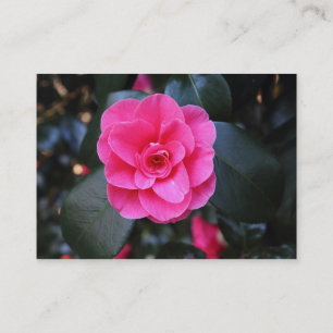 Pink Camellia Business Card