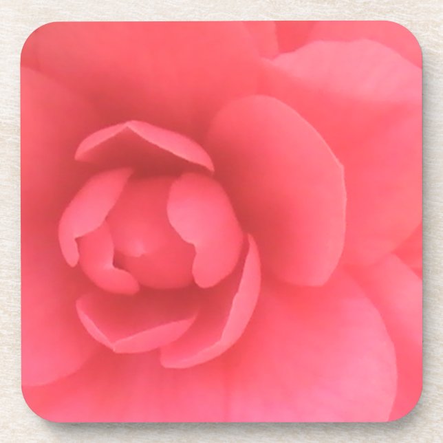 Pink Camellia Coaster (Front)