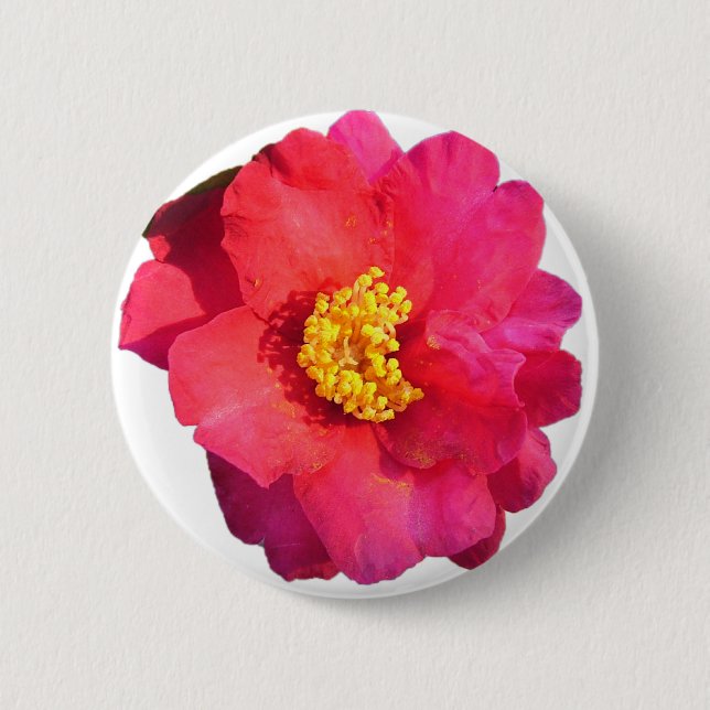 pink camellia flower 6 cm round badge (Front)