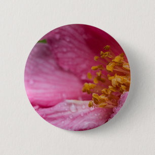 Pink Camellia Flower Stamens 6 Cm Round Badge