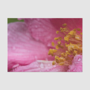 Pink Camellia Flower Stamens Tissue Paper