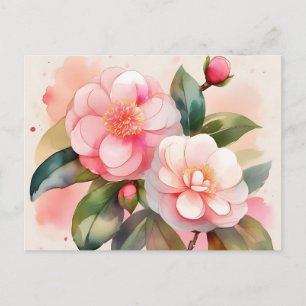 Pink Camellia Flowers Postcard