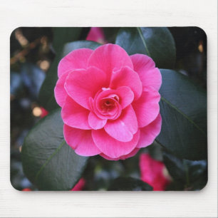 Pink Camellia Mouse Pad