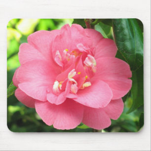Pink Camellia Mousepad