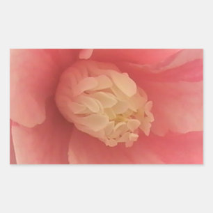 Pink Camellia Rectangular Sticker