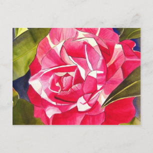 Pink Camellia watercolor flower art painting Postcard