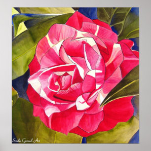 Pink Camellia watercolor flower art painting Poster