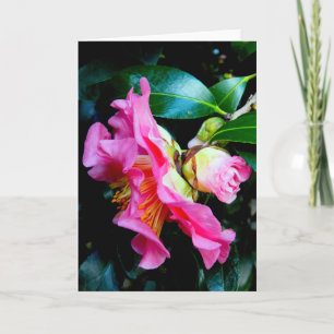 "Pink Camellias." Greeting Card