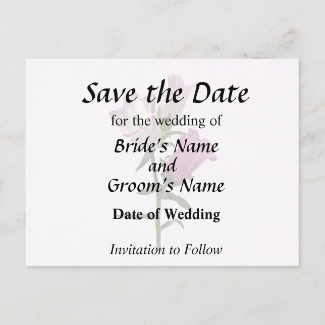 Pink Canterbury Bells Announcement Postcard (Front)