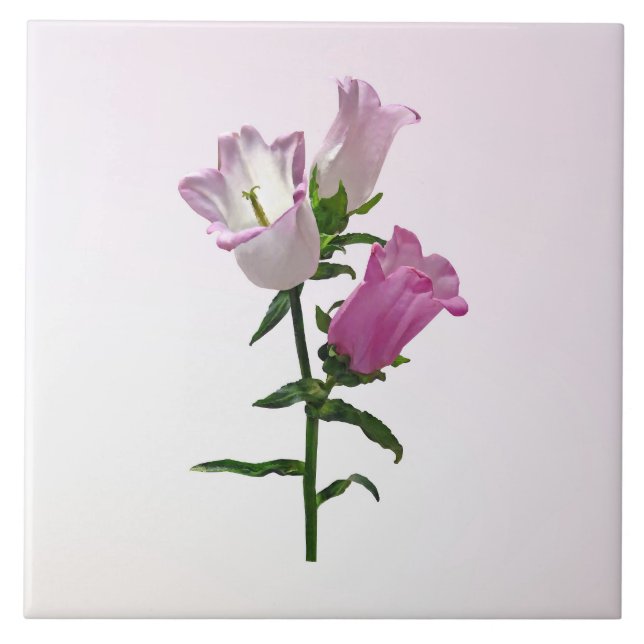 Pink Canterbury Bells Ceramic Tile (Front)