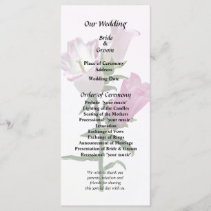 Pink Canterbury Bells Program