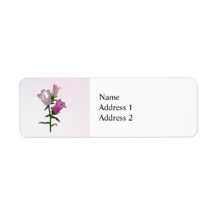 Pink Canterbury Bells Return Address Label
