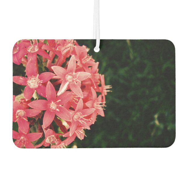 Pink Car Air Freshener (Front)