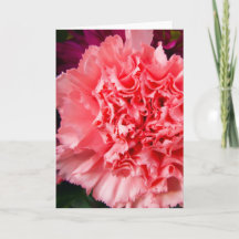 "Pink Carnation 1." Greeting Card