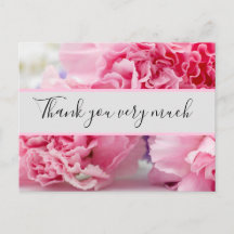 Pink carnation background thank you