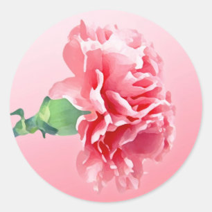 Pink carnation classic round sticker