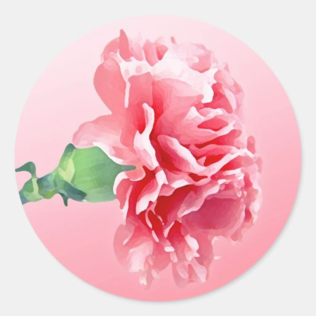 Pink carnation classic round sticker (Front)