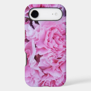 Pink carnation flowers