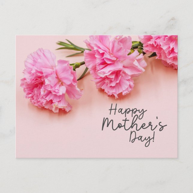 Pink Carnation  flowers for Mum on Mother's Day Postcard (Front)