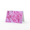 Pink carnation flowers notecards