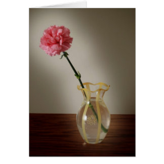 Pink Carnation in Glass Vase