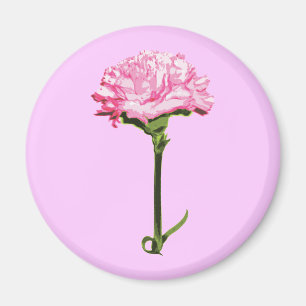 Pink Carnation Magnet