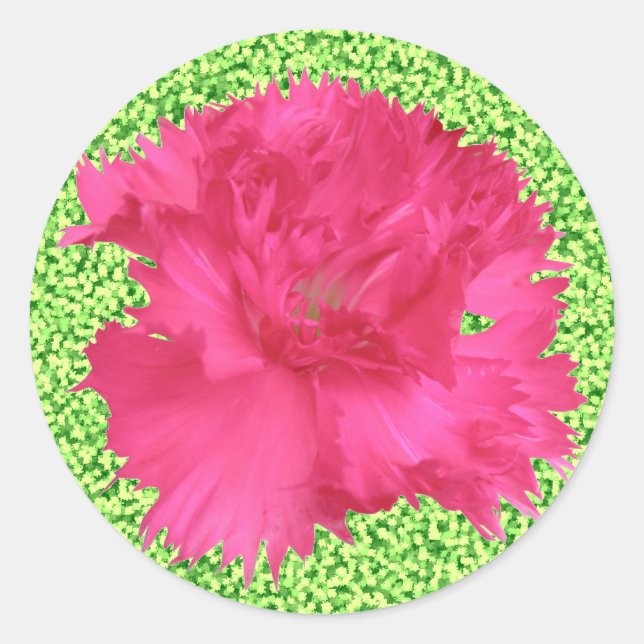 Pink Carnation Sticker (Front)