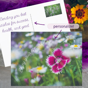 Pink carnation with daisies holiday postcard