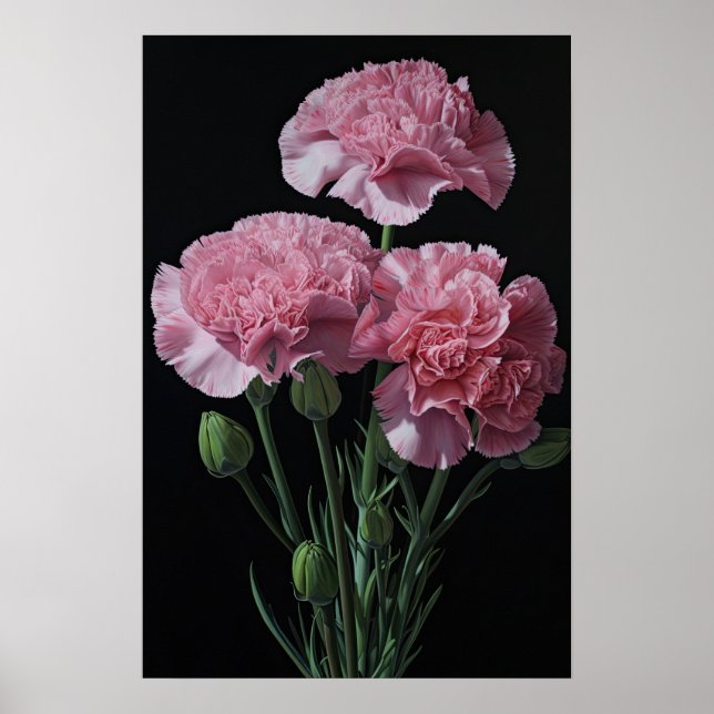 Pink Carnations Flower Art Print Poster (Front)