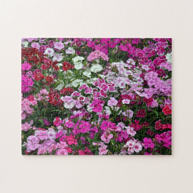 Pink carnations jigsaw puzzle (Horizontal)