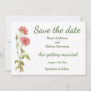 Pink carnations watercolor Flat Save The Date Card