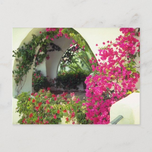 Pink Casa car port, Moraira, Costa Blanca flowers Postcard (Front)