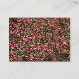 Pink Cherry Blossom 02 Business Card