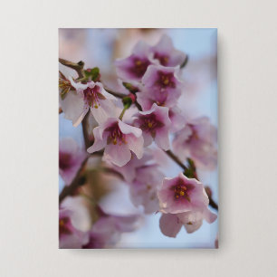 Pink Cherry Blossom Badge