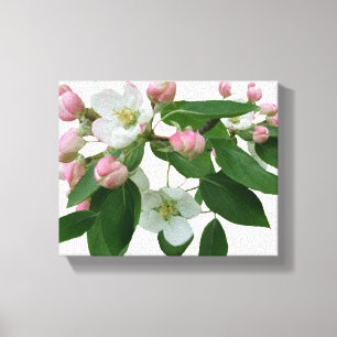 Pink cherry blossom floral boho digital beautiful canvas print
