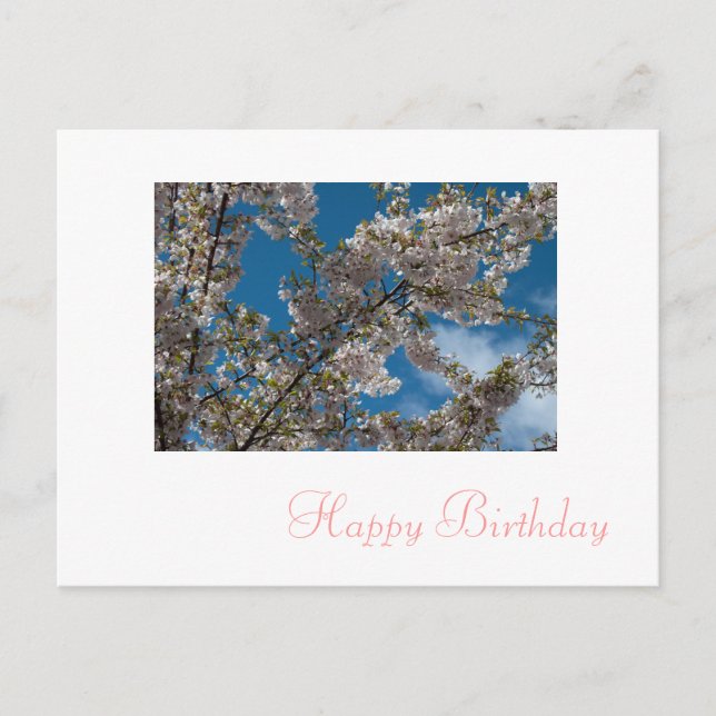 pink cherry blossom flowers happy birthday postcard (Front)