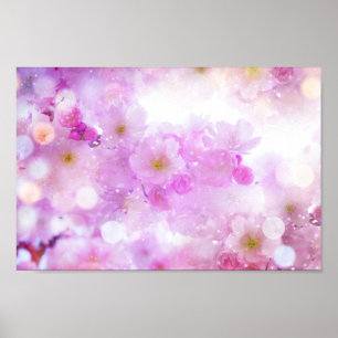 Pink Cherry Blossom Flowers Photo Poster