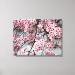 Pink Cherry Blossom Flowers Tree Canvas Print