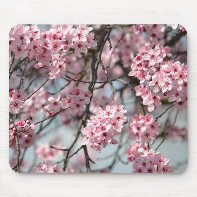 Pink Cherry Blossom Flowers Tree Mouse Pad (Front)