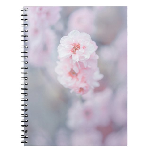 PINK CHERRY BLOSSOM IN CLOSE UP PHOTOGRAPHY NOTEBOOK (Front)