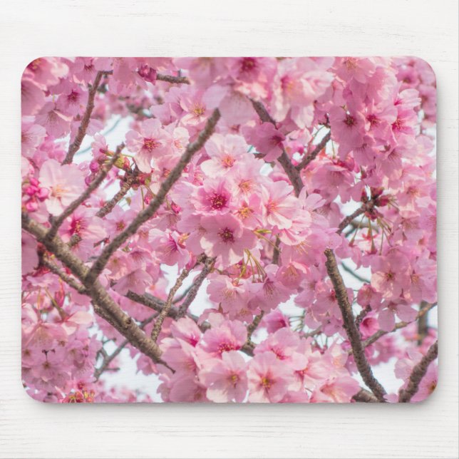 Pink Cherry Blossom Mouse Pad (Front)