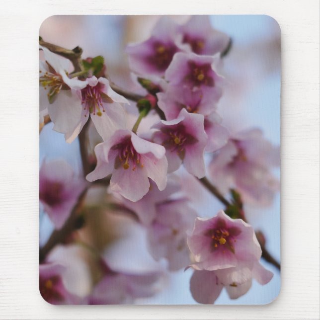 Pink Cherry Blossom Mousepad (Front)