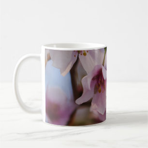 Pink Cherry Blossom Mug