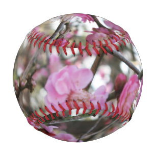 Pink Cherry Blossom / Sakura / サクラ(桜) Baseball