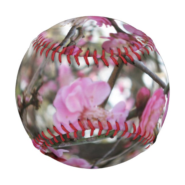 Pink Cherry Blossom / Sakura / サクラ（桜) Baseball (Front)